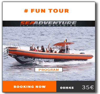 https://sea-adventure.net/wp-content/uploads/2018/01/reservation-fun-tour-en.png