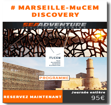 https://sea-adventure.net/wp-content/uploads/2018/01/reservation-marseille-mucem-discovery.png