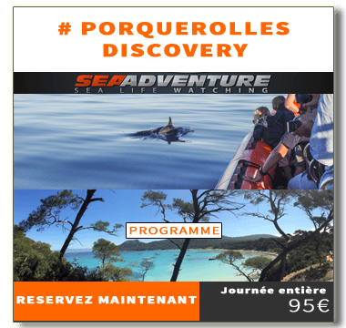 https://sea-adventure.net/wp-content/uploads/2018/01/reservation-porquerolles-discovery.png