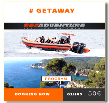 https://sea-adventure.net/en/creeks-getaway/