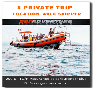 https://sea-adventure.net/wp-content/uploads/2019/01/private-trip.png