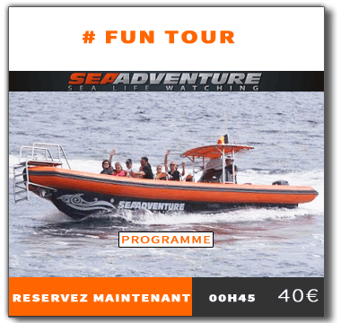 https://sea-adventure.net/wp-content/uploads/2016/01/reservation-fun-tour.png