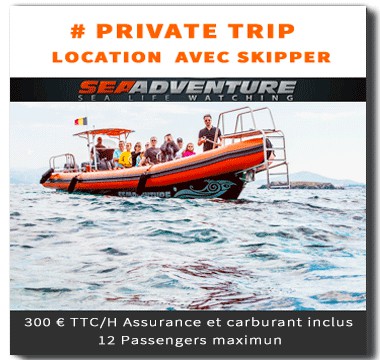 private-trip