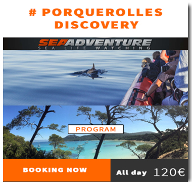 https://sea-adventure.net/wp-content/uploads/2023/11/reservation-porquerolles-discovery-en.jpg