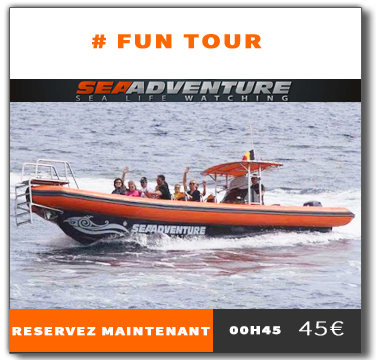 https://sea-adventure.net/wp-content/uploads/2024/02/fun-tour-reservation-2024.jpg/reservation-fun-tour.png