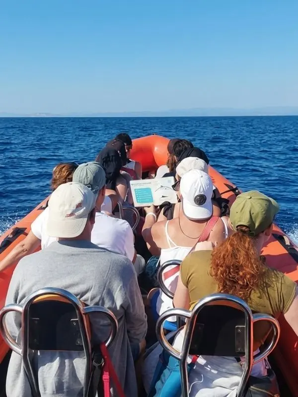 bateau d’observation des dauphins et baleines au large de Six-Fours-le-Brusc