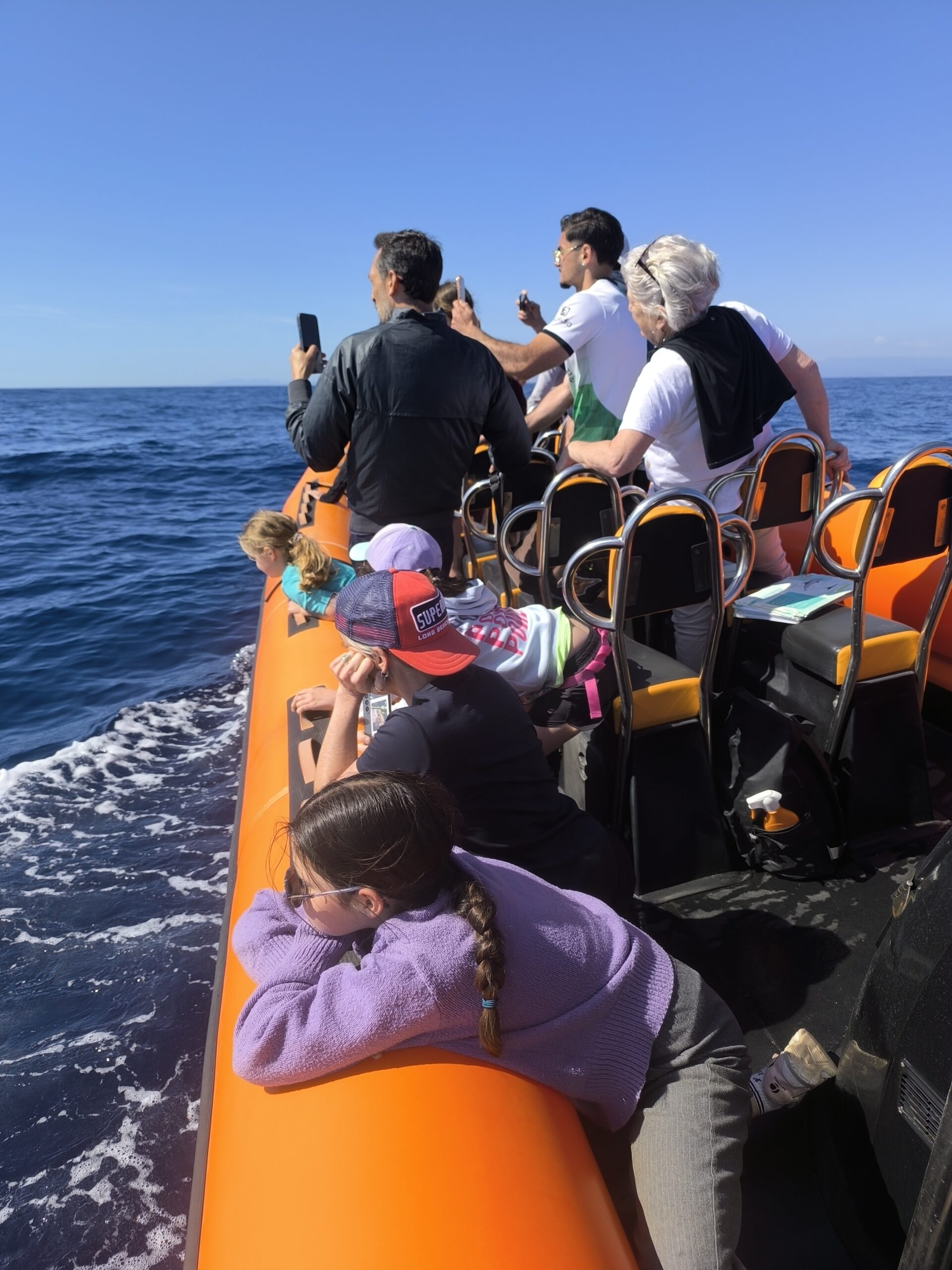 sea-adventure-boat Famille avec enfants en observation des dauphins et baleines en petit comité au départ du Brusc à Six-Fours, proche de Sanary-sur-Mer et Bandol